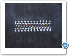 collection 4 strass+stud band on shorn mink